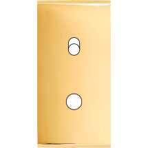  FAC ETR LAITON DORE B1P1 