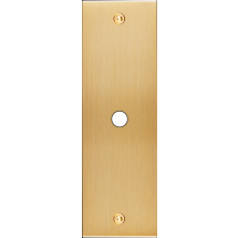  FAC LTC CHAMPAGNE EL P1 A VIS 