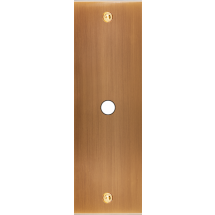  FAC LTC VIEUX BRONZE EL P1 A V 