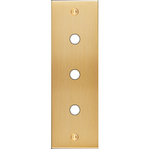  FAC LTC CHAMPAGNE EL P3 A VIS 