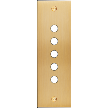  FAC LTC CHAMPAGNE EL P5 A VIS 