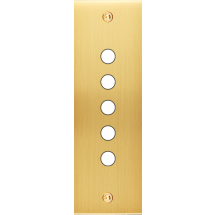  FAC LTC CHAMPAGNE SAT EL P5 A 