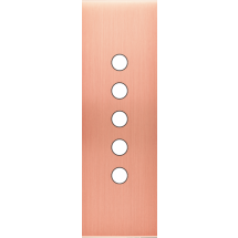  FAC LAITON  CUIV SAT EL P5 