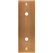  FAC LTC VIEUX BRONZE EL P2X A 