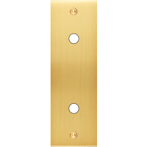  FAC LTC CHAMPAGNE SAT EL P2X A 