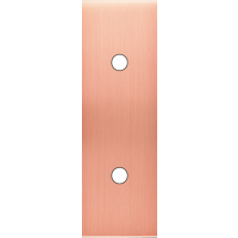  FAC LAITON  CUIV SAT EL P2X 