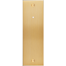  FAC LAITON BROSSE EL P1LX VIS 