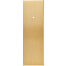  FAC LAITON BROSSE EL P1LX M 