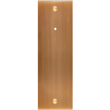  FAC LAITON BRONZE EL P1LX VIS 