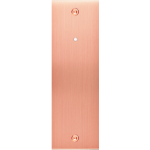  FAC LAITON CUIV-S EL P1LX VIS 