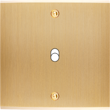  FAC LTC CHAMPAGNE S B1 A VIS 