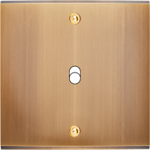  FAC LTC VIEUX BRONZE S B1 A VI 