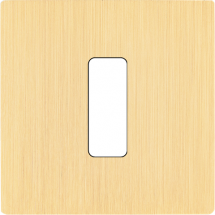  FAC "M" LAITON BROSSE S B1 SAN 