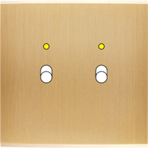  FAC LAITON BROSSE S B2L M 