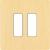  FAC "M" LAITON BROSSE S B2 SAN 