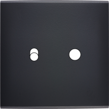  FAC LAITON NOIR S B1 P1 MAGNET 