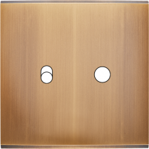  FAC LAIT BRONZE S B1 P1 MAGNET 