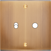  FAC LAIT BRONZE S B1 P1 VIS 