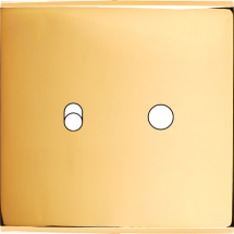  FAC LAITON DORE S B1 P1 MAGNET 