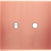  FAC LAITCUIV S S B1 P1 MAGNET 