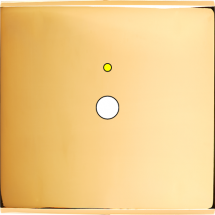  FAC LAITON DORE S P1L M 