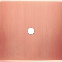  FAC LAITON  CUIV SAT S P1 