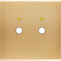  FAC LAITON BROSSE S P2L M 