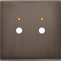  FAC LAITON CANON S P2L M 