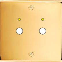  FAC LAITON DORE S P2L VIS 