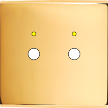  FAC LAITON DORE S P2L M 