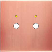  FAC LAITON CUIV-S S P2L M 