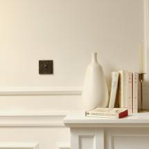  FAC LAIT FAUVE S P1+LED HOR V 