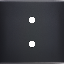  FAC LAITON NOIR S P2X MAGNET 