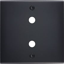  FAC LAITON NOIR S P2X VIS 