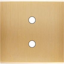  FAC LAITON BROSSE S P2X MAGNET 