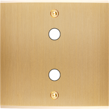  FAC LAITON BROSSE S P2X VIS 