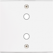  FAC LAITON BLANC S P2X VIS 