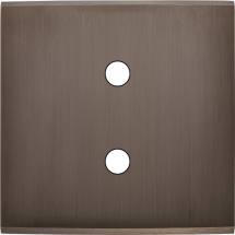  FAC LAITON CANON S P2X MAGNET 