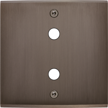  FAC LAITON CANON S P2X VIS 