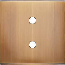  FAC LAITON BRONZE S P2X MAGNET 