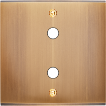  FAC LAITON BRONZE S P2X VIS 