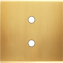  FAC LAITON SATIN S P2X MAGNET 