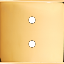  FAC LAITON DORE S P2X MAGNET 