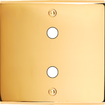  FAC LAITON DORE S P2X VIS 