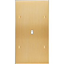  FAC LTC CHAMPAGNE DV B1 A VIS 