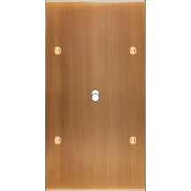  FAC LTC VIEUX BRONZE DV B1 A V 