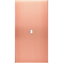  FAC LAITON  CUIV SAT DV B1 