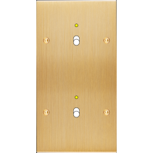  FAC LAIT BROSSE DV B1L B1L VIS 