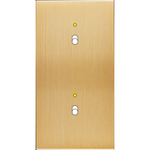  FAC LAITON BROSSE DV B1L B1L M 