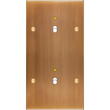  FAC LAIT BRONZE DV B1L B1L VIS 